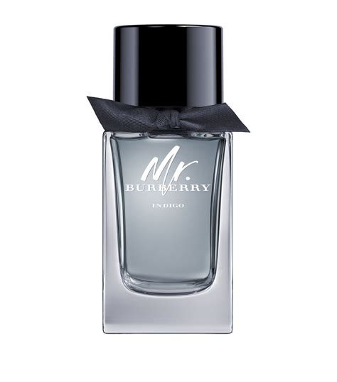 burberry mr. burberry indigo eau de toilette|mr Burberry indigo fragrantica.